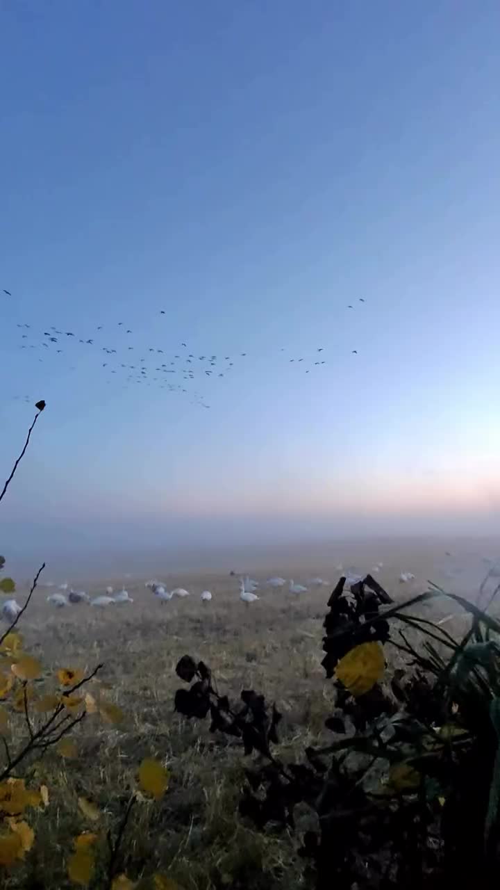 Video post from northernskiesoutfitters.