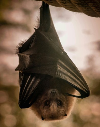 Photo post from tirweddau_cymru.