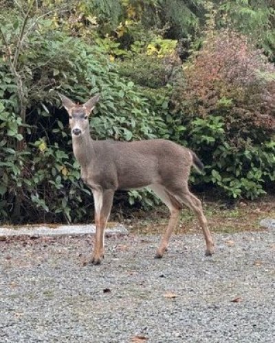 Photo post from theresortatportludlow.