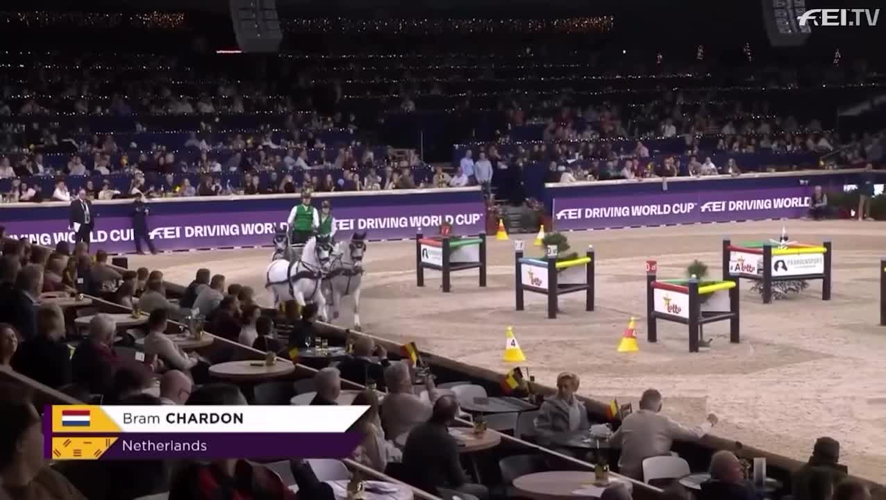 Video post from fei_global.