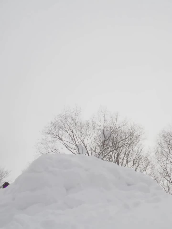 Carousel post from libtechnologies.