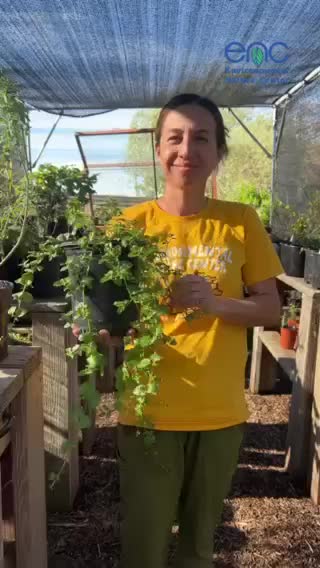 Video post from environmentalnaturecenter.