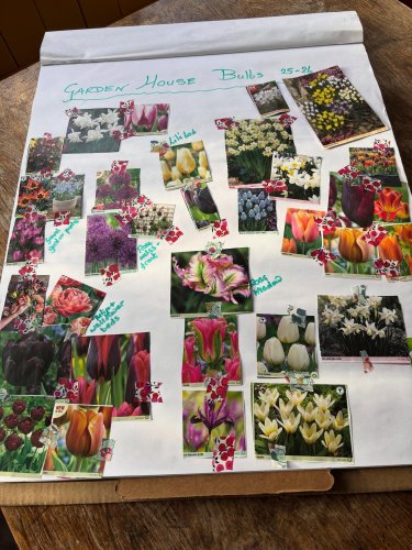 Photo post from gardenhousebrighton.