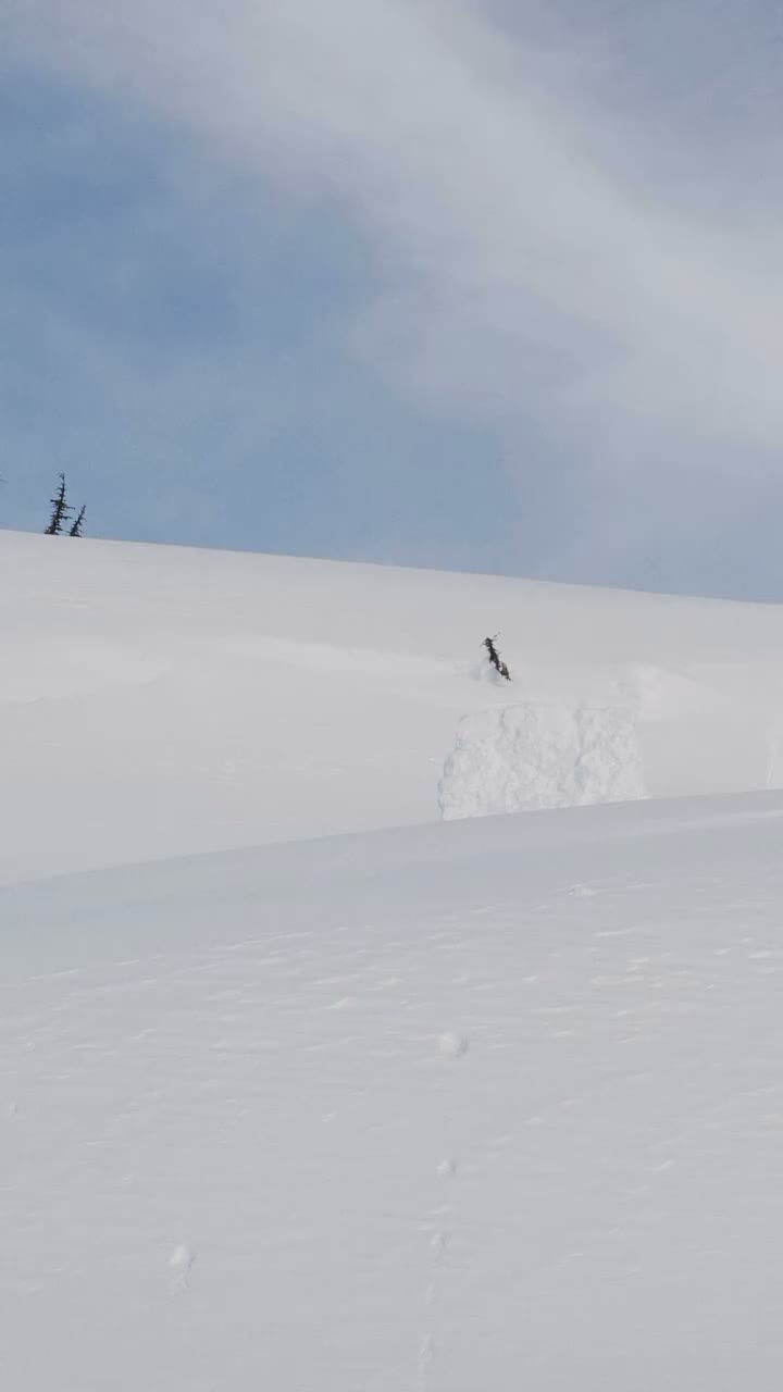 Video post from libtechnologies.