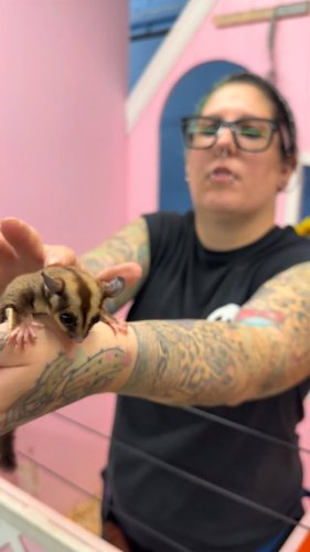 Video post from njexoticpets.