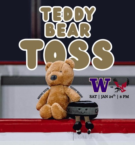 Photo post from uw_icehockey.