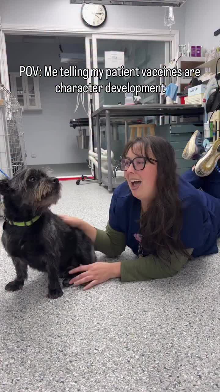 Video post from familyanimalhospitalcm.