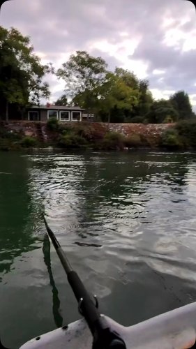 Video post from confluenceoutfitters.