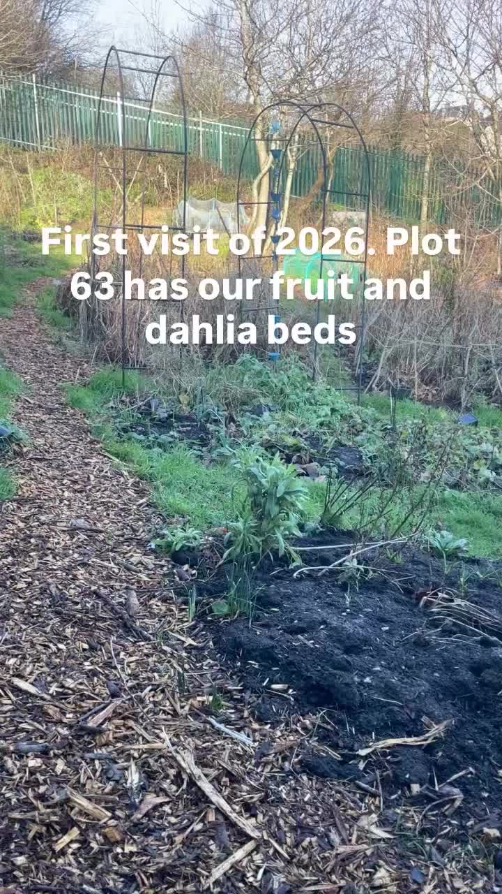 Video post from myallotmentatnewport.