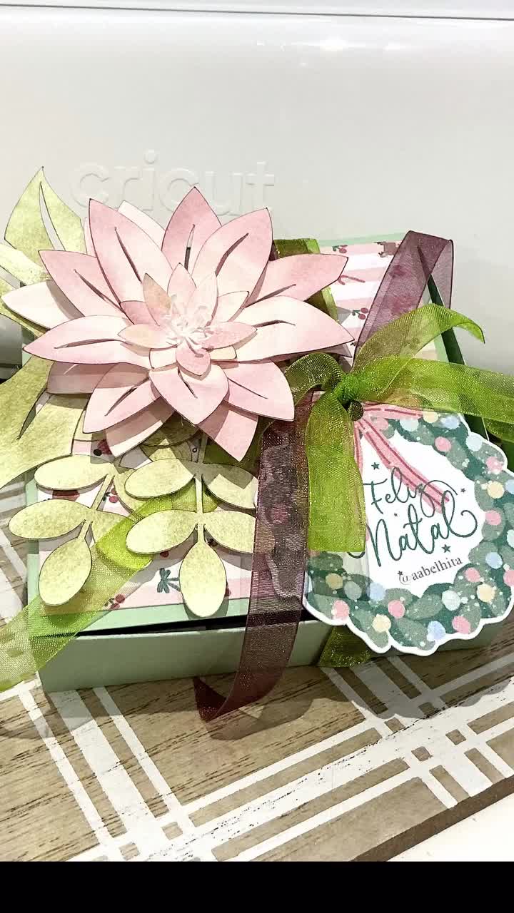 Video post from aabelhita.