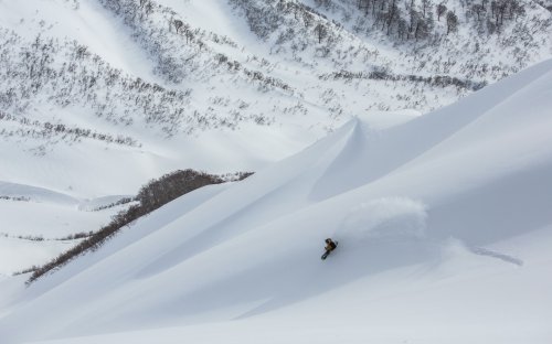 Home | Organize Back Country