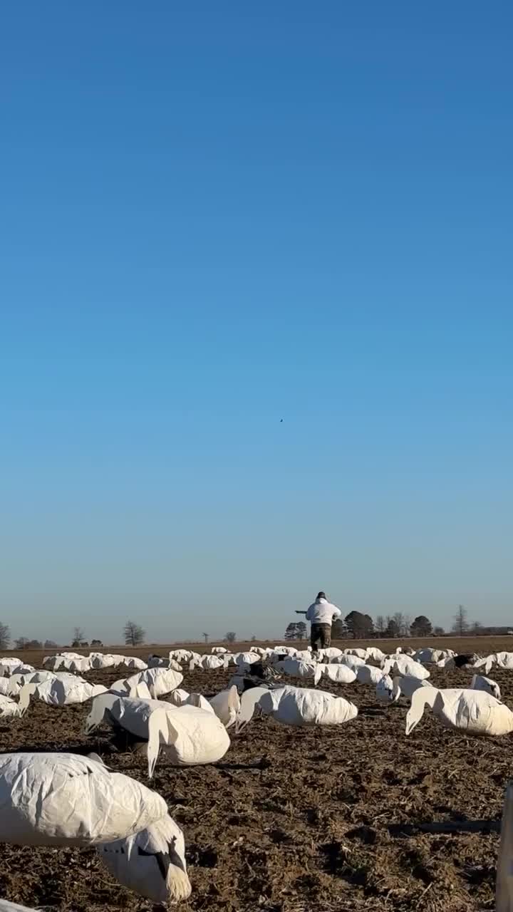 Video post from northernskiesoutfitters.