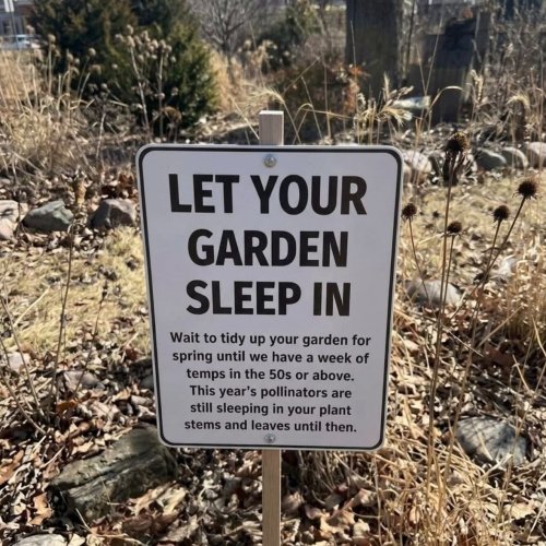 Photo post from tosahabitat.