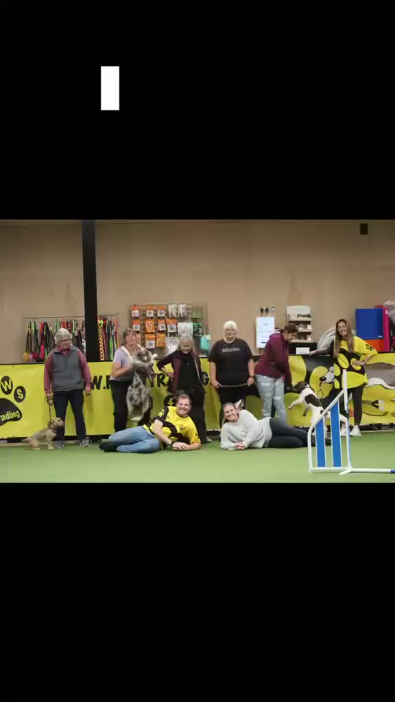 Video post from pawstrading.