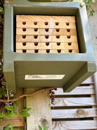 Photo post from gardenhousebrighton.