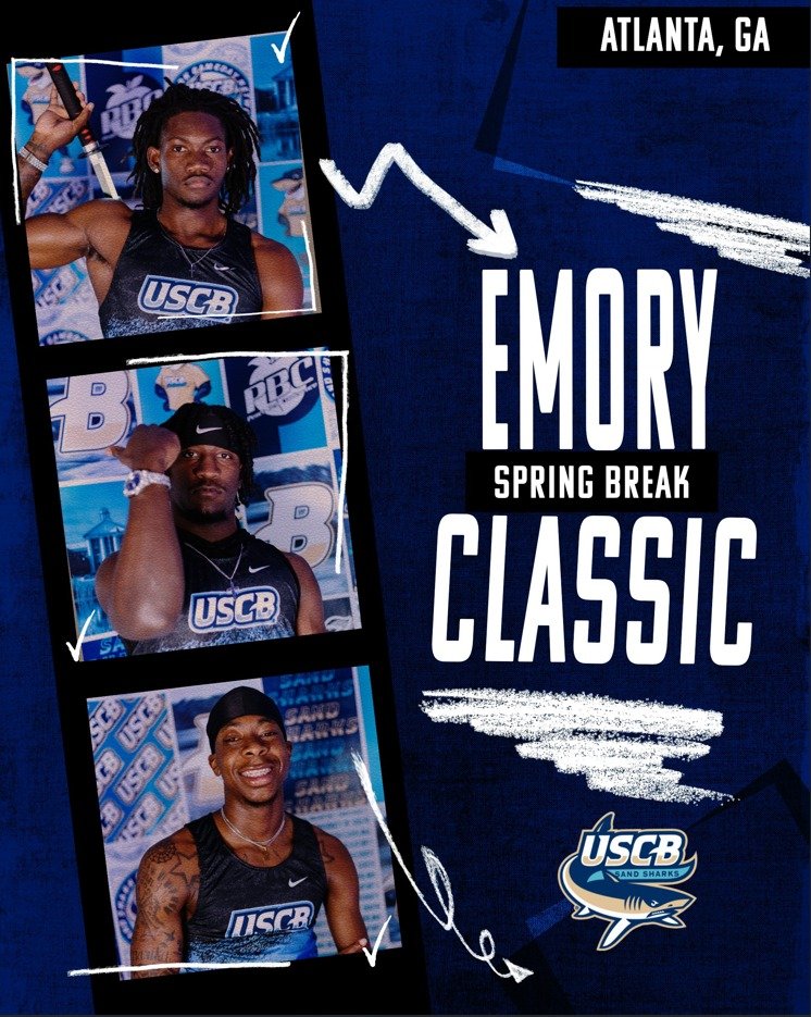 Photo post from uscbsandsharks.