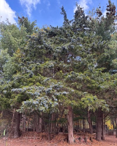 Photo post from mireade2025.