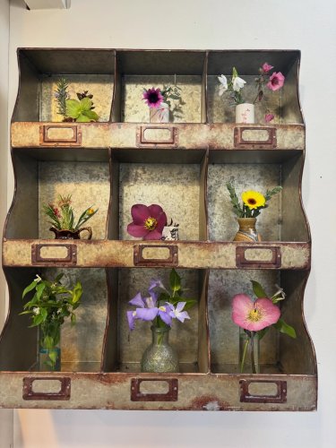 Photo post from gardenhousebrighton.