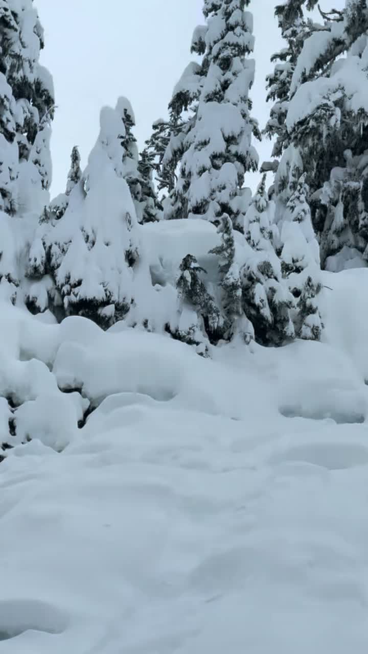 Video post from gnusnowboards.