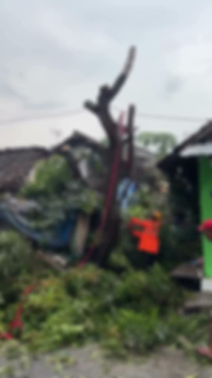 Video post from pemkotblitar.