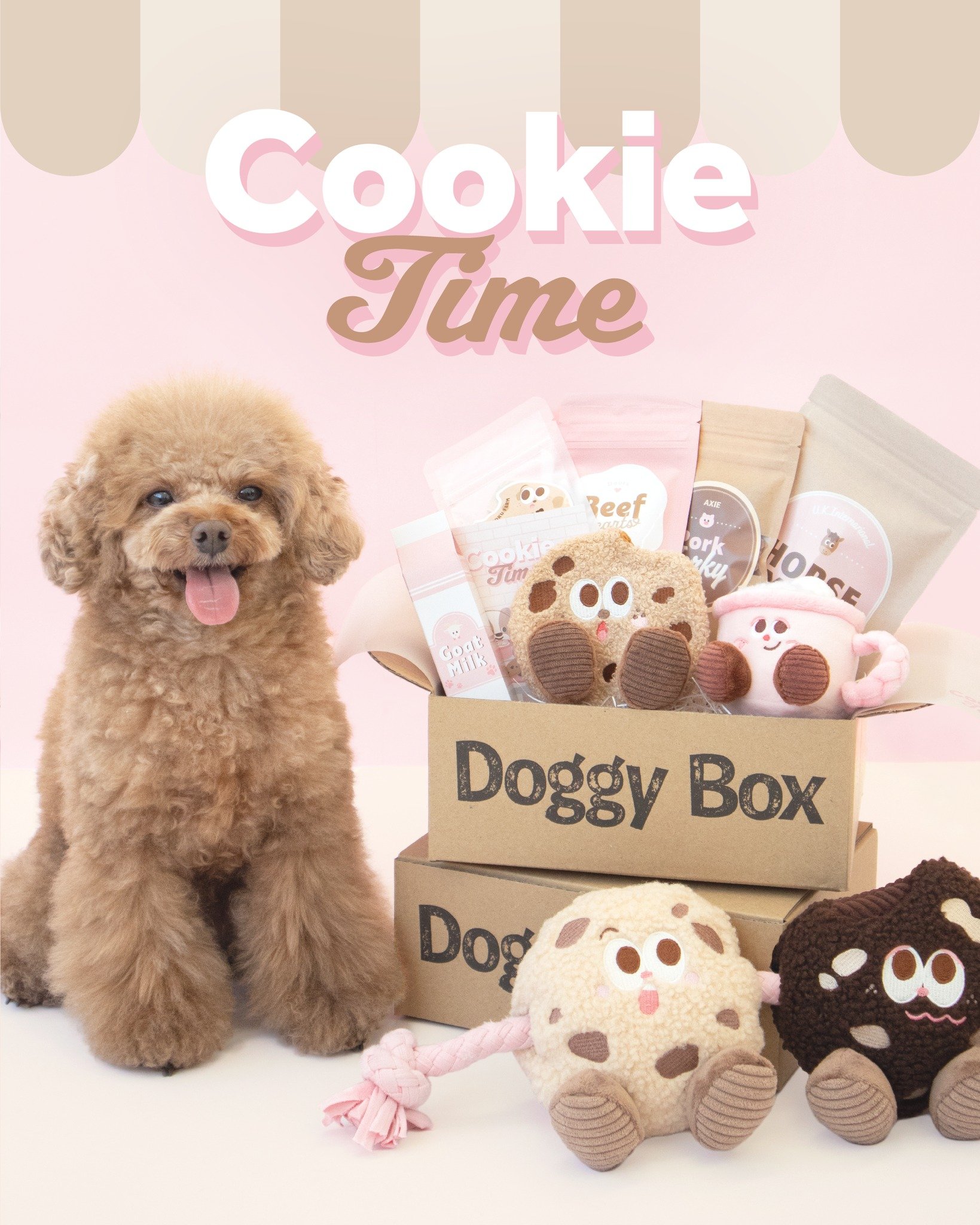 Doggy Box | 毎月サプライズいっぱいのBOXをお届け