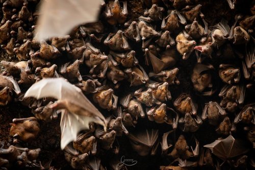 Carousel post from luke.glendenning.