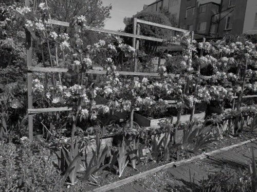 Photo post from gardenhousebrighton.