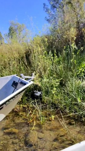 Video post from confluenceoutfitters.