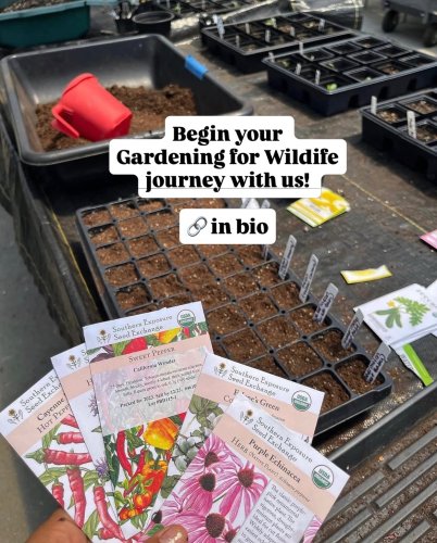 Carousel post from wecarewdc.