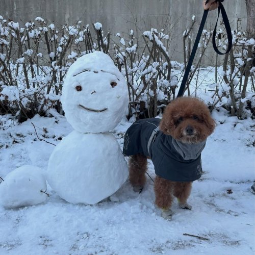 Carousel post from 9.99999kg.