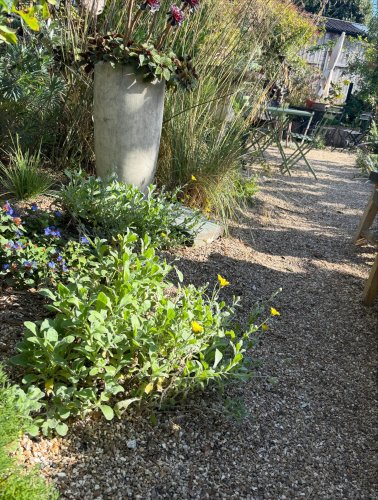 Photo post from gardenhousebrighton.