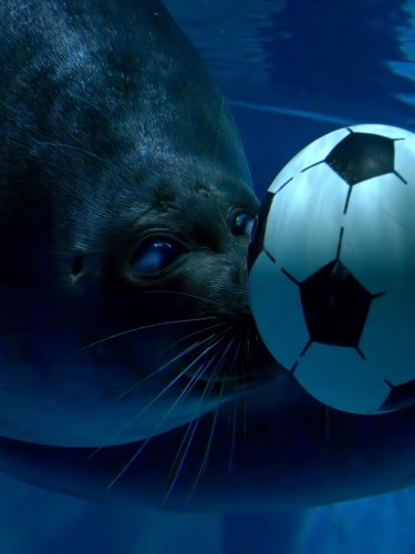 Photo post from mormormk15.