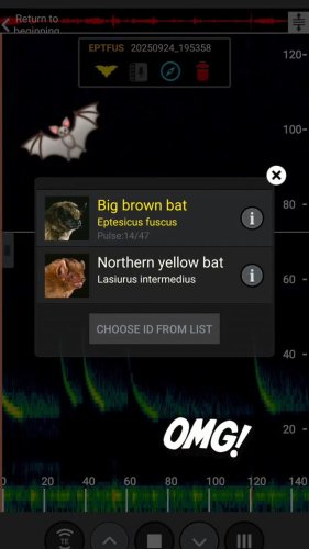 Video post from celulazul.