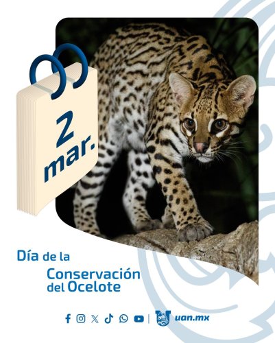 Photo post from uan.oficial.