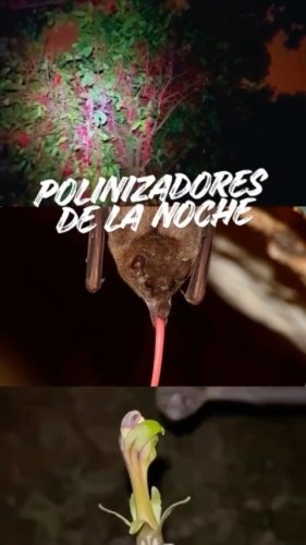 Video post from pcme_costa.