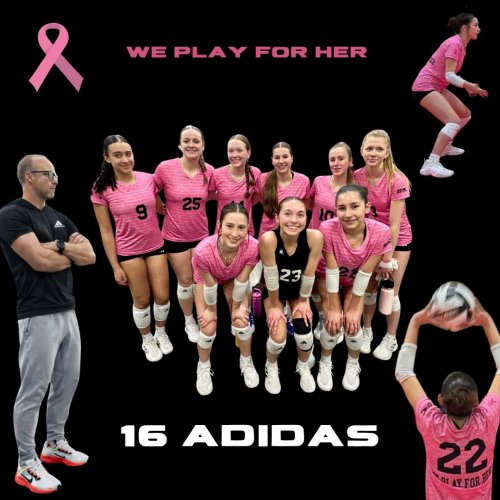 Photo post from epicvball.