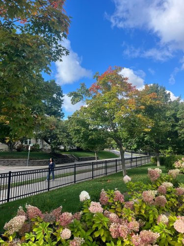 Photo post from bostoncollege.