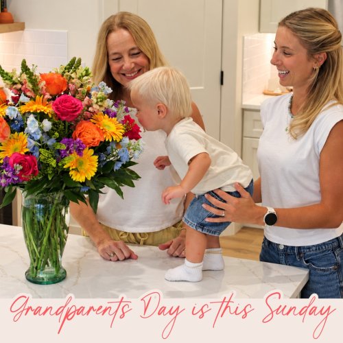 Photo post from thefamilyflowers.