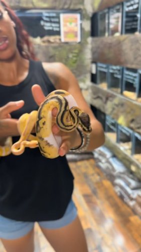 Video post from njexoticpets.
