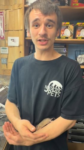 Video post from njexoticpets.
