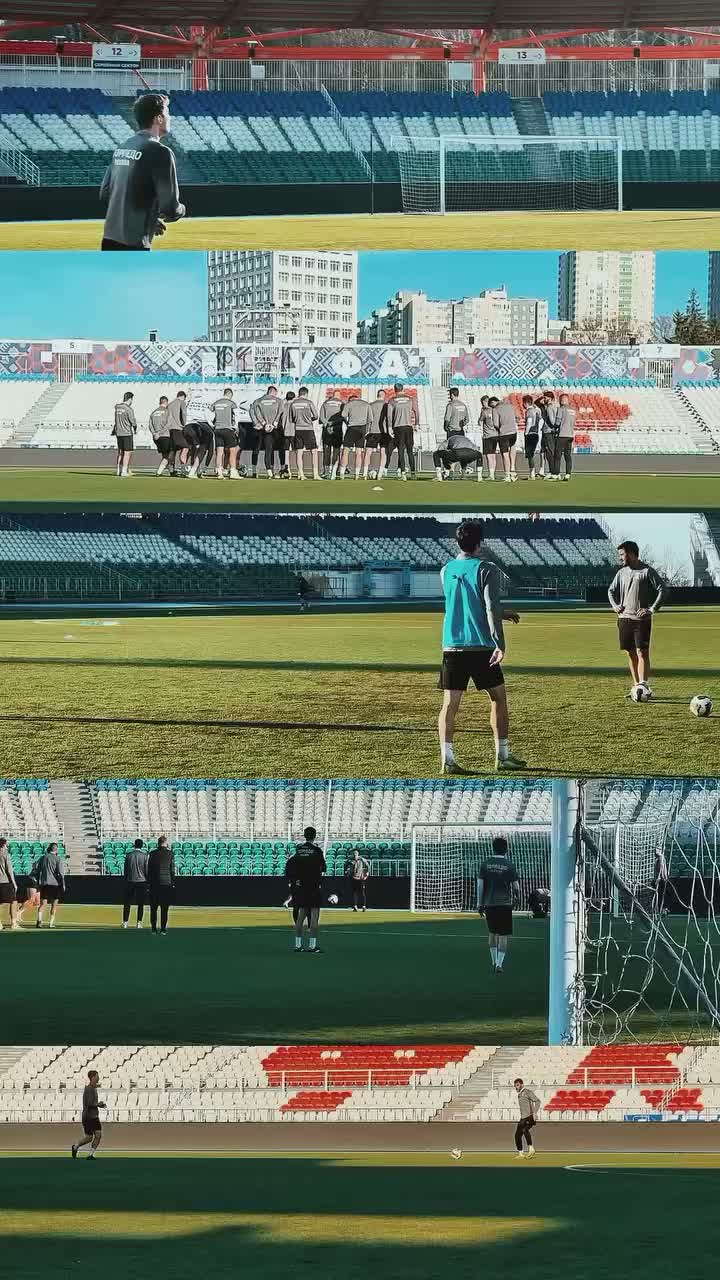 Video post from torpedolife.