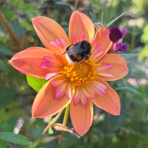 Photo post from gardenhousebrighton.