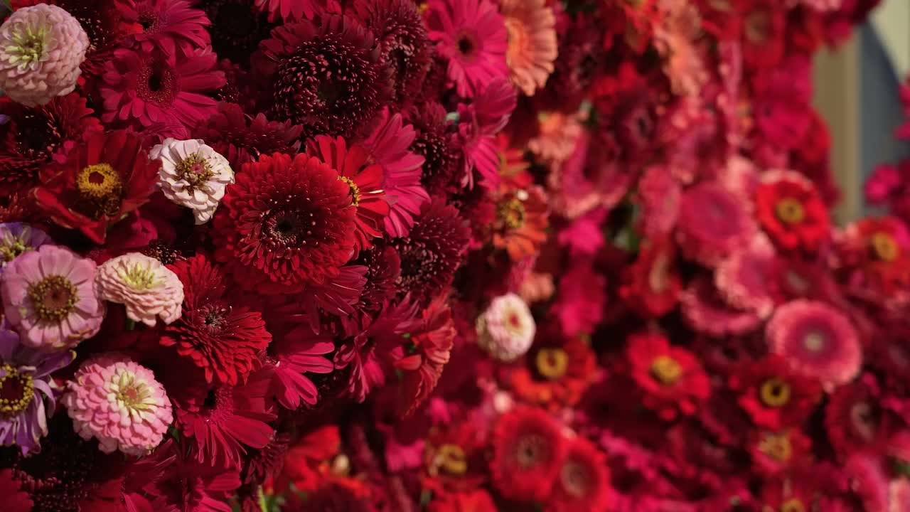 Video post from dubrovnikfestival.