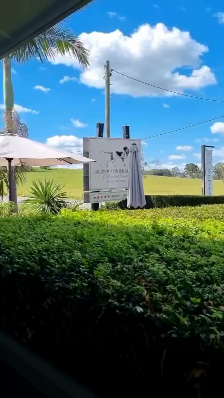 Video post from gundogestate.