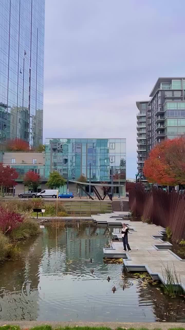 Video post from trinnadeleon.