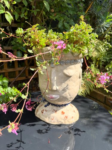 Photo post from gardenhousebrighton.