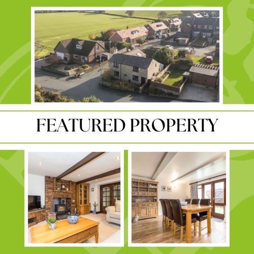 Carousel post from reganhallworth.