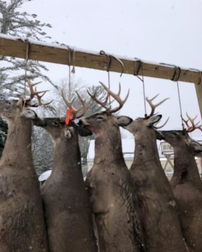 Photo post from northlandbrew.