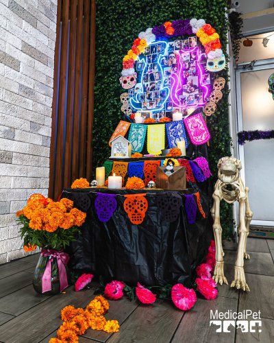 Photo post from medicalpettj.