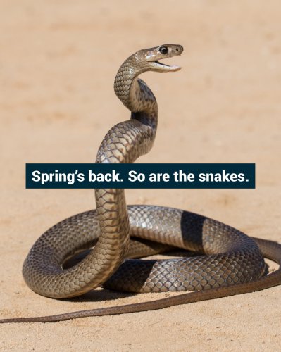 Photo post from alburycity.